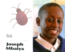 Joseph Mbaiya