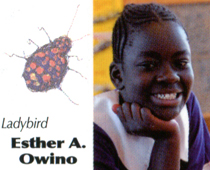 Esther A. Owino